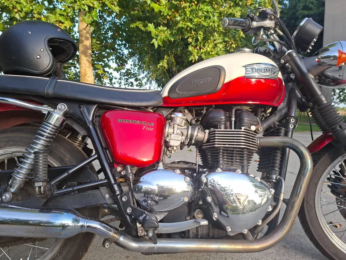 Triumph Bonneville T100 (2008 - 16) (2)