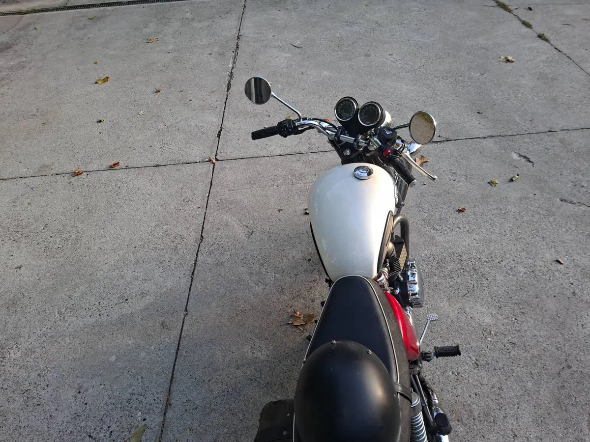 Triumph Bonneville T100 (2008 - 16) (3)