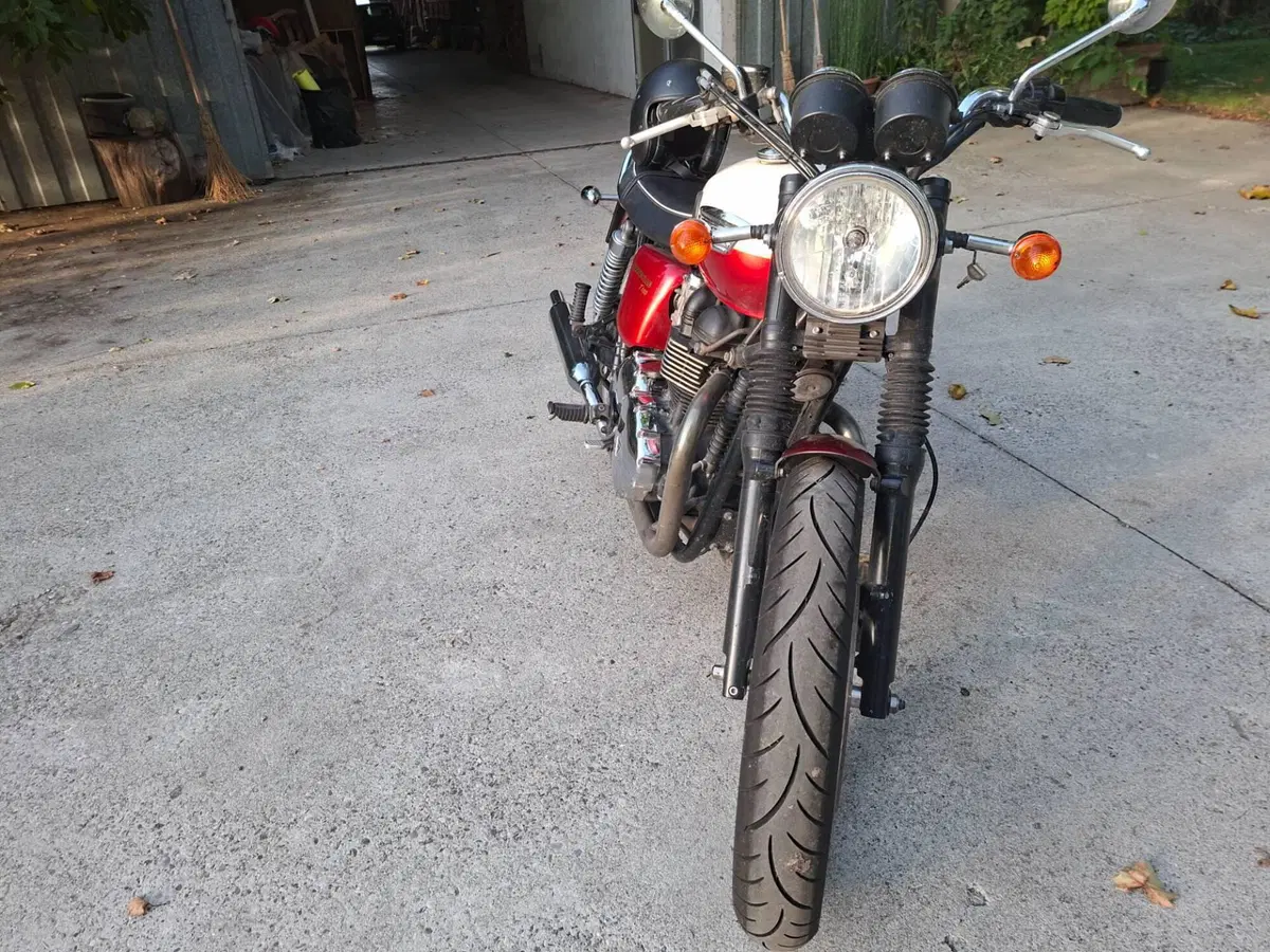 Triumph Bonneville T100 (2008 - 16) (6)