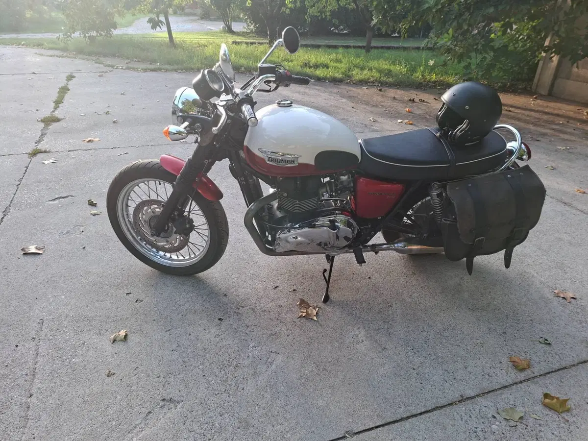 Triumph Bonneville T100 (2008 - 16) (7)