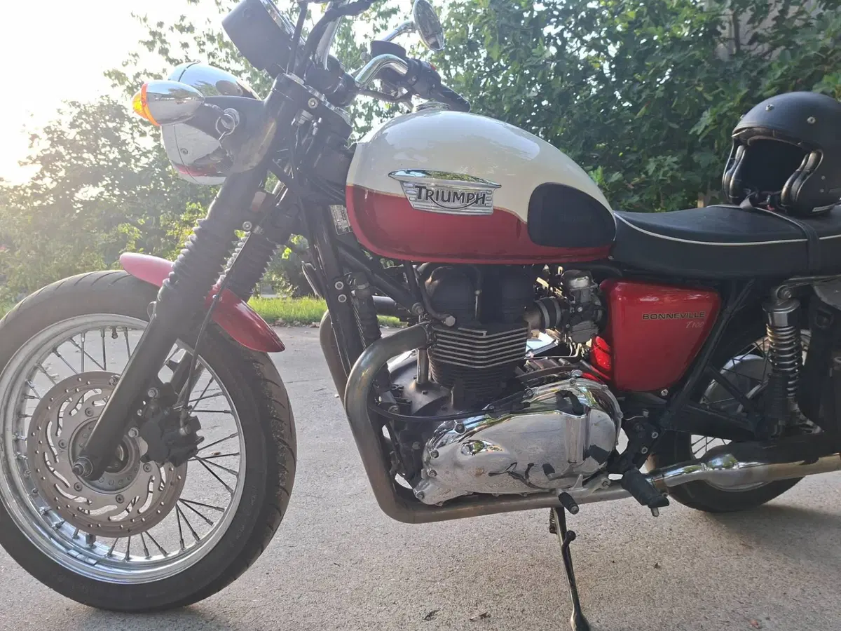 Triumph Bonneville T100 (2008 - 16) (8)