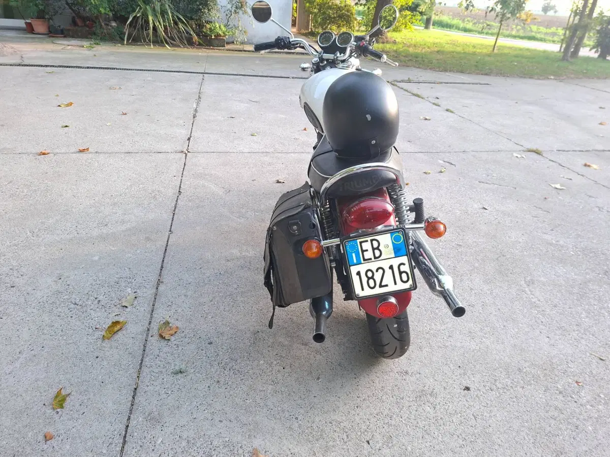 Triumph Bonneville T100 (2008 - 16) (9)
