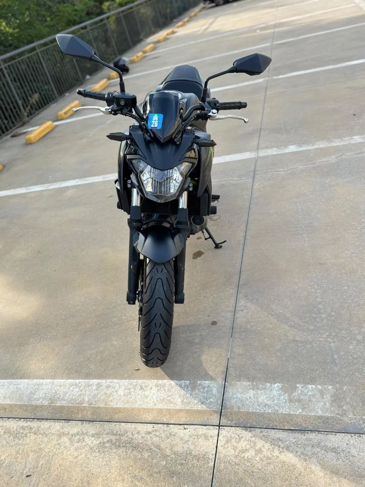 Kawasaki Z 650 (2017 - 19) (8)