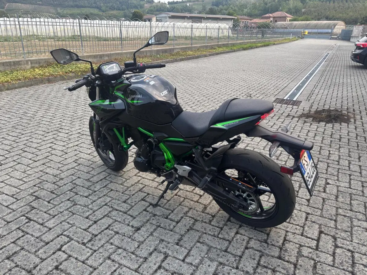 Kawasaki Z 650 (2021 - 24) (2)
