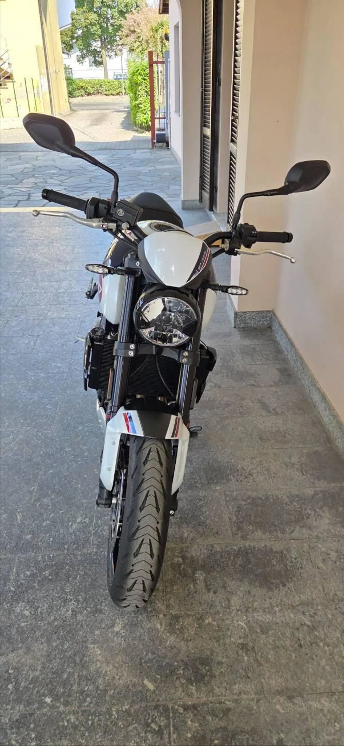 Triumph Trident 660 Triple Tribute Edition (2024) (2)