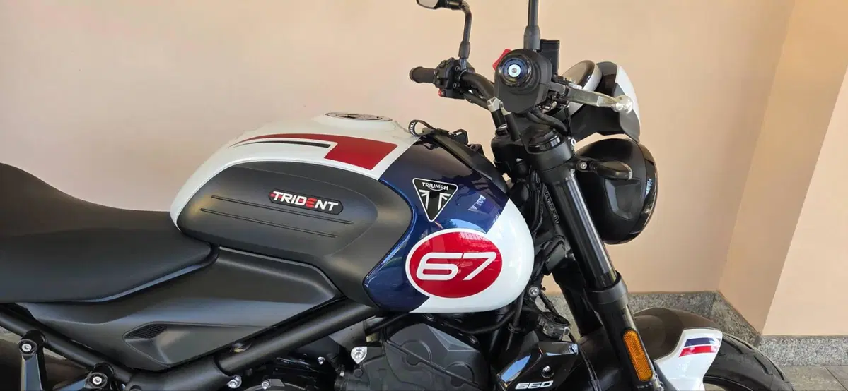 Triumph Trident 660 Triple Tribute Edition (2024) (10)