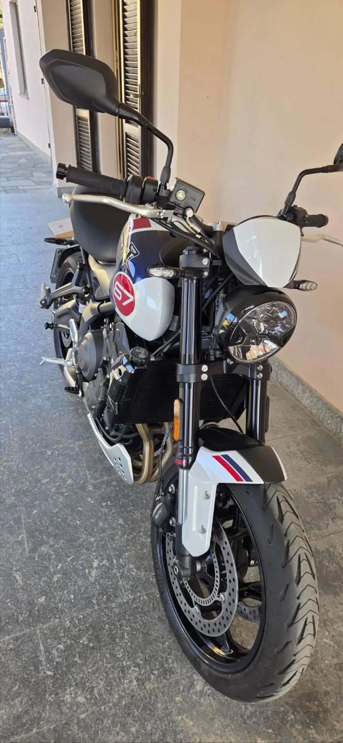 Triumph Trident 660 Triple Tribute Edition (2024) (11)