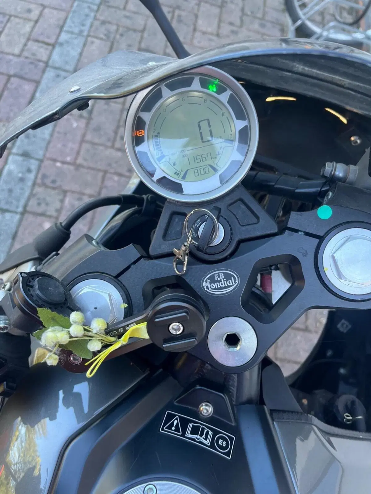 FB Mondial Sport Classic 125 (2019 - 20) (5)