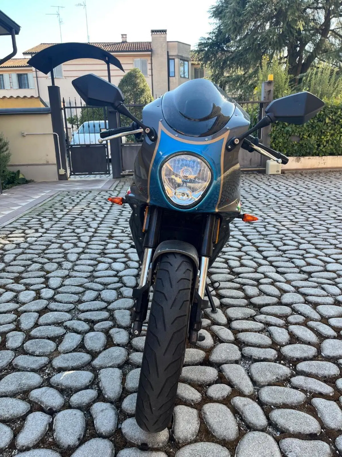 FB Mondial Sport Classic 125 (2019 - 20) (2)