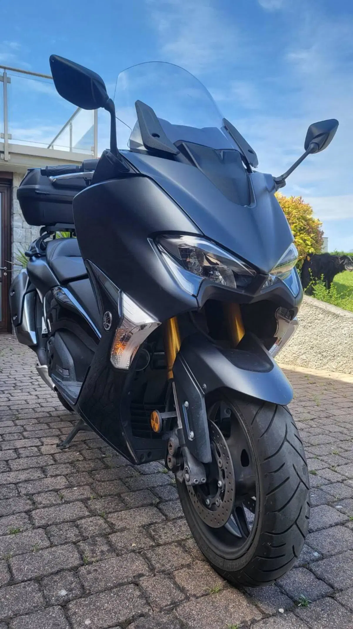 Yamaha T-Max 530 SX (2017 - 19) (7)