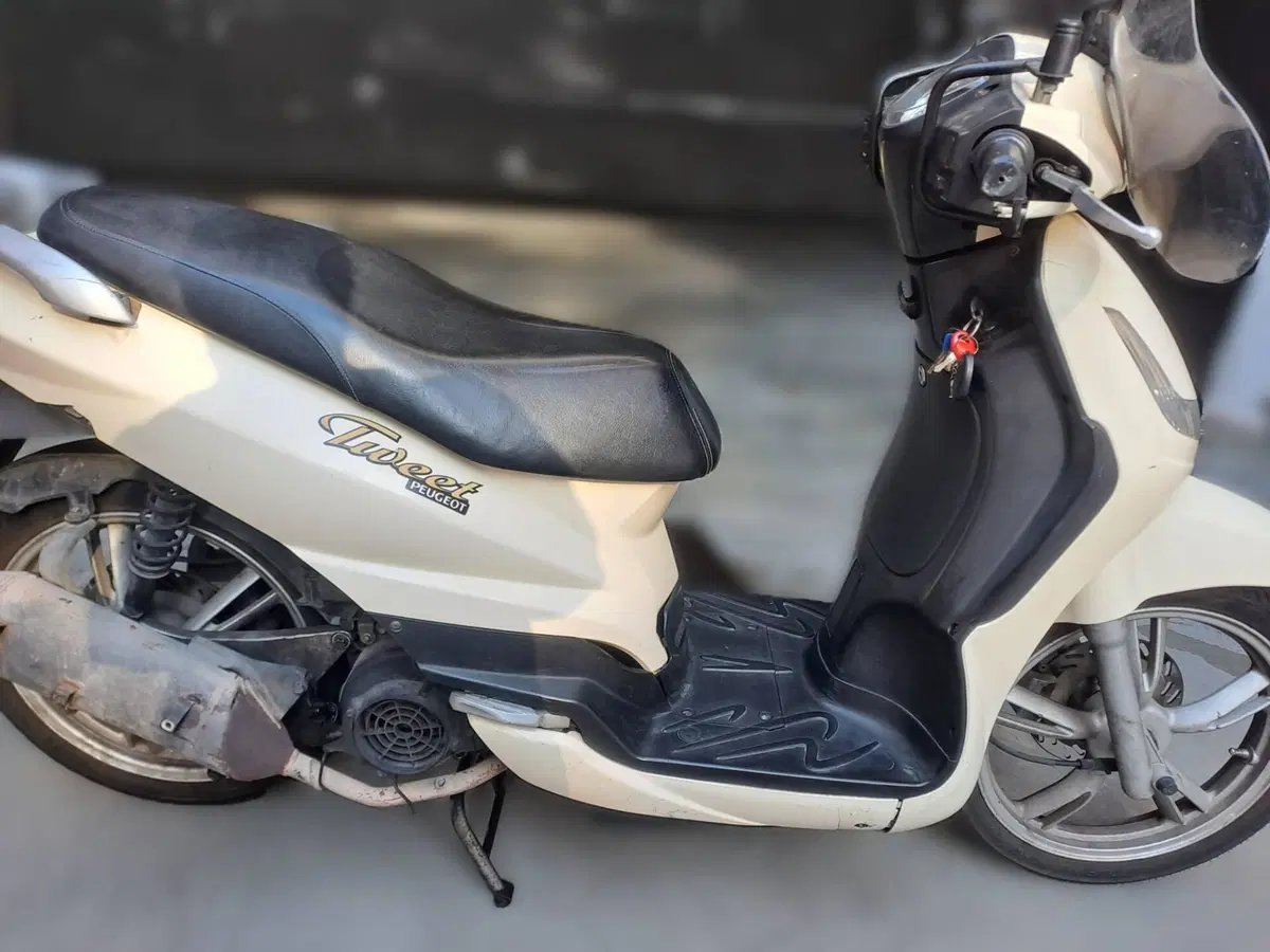 Peugeot Tweet 125 (2010 - 14) (3)