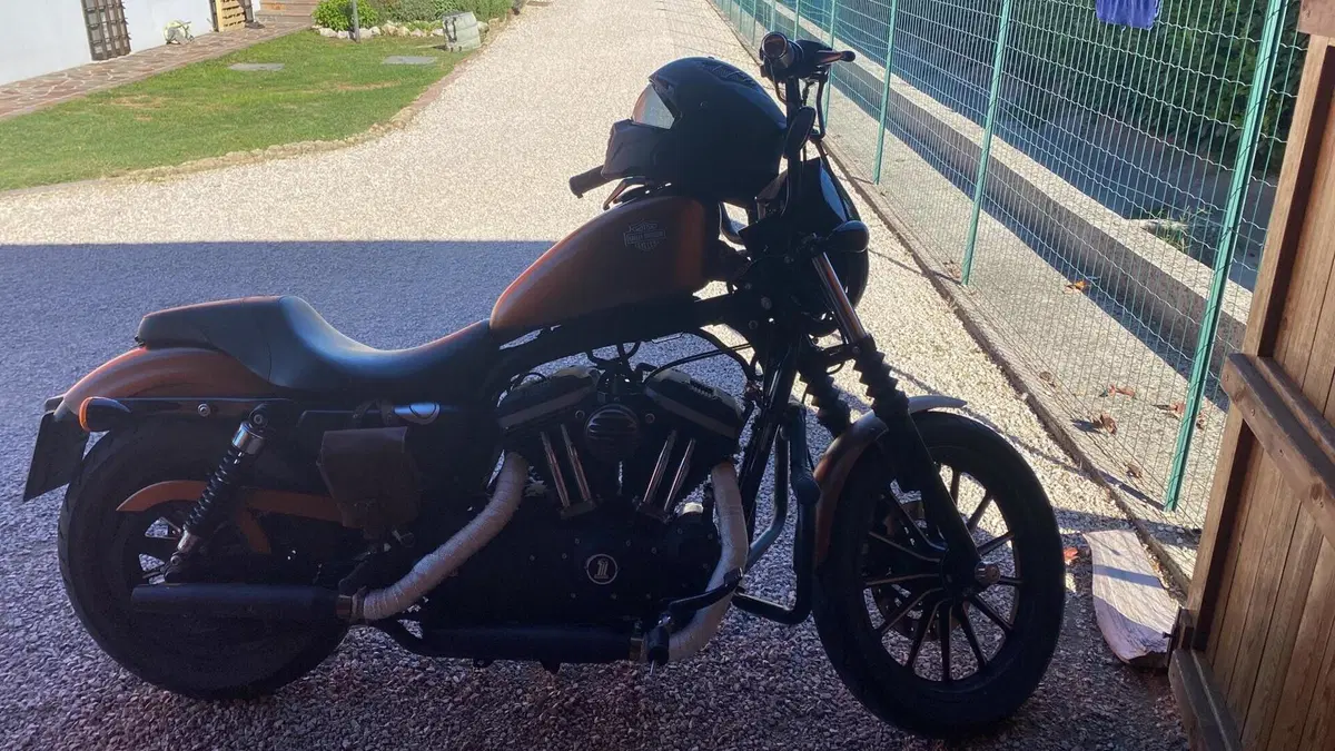 Harley-Davidson 883 Iron (2009 - 11) - XL 883N (7)