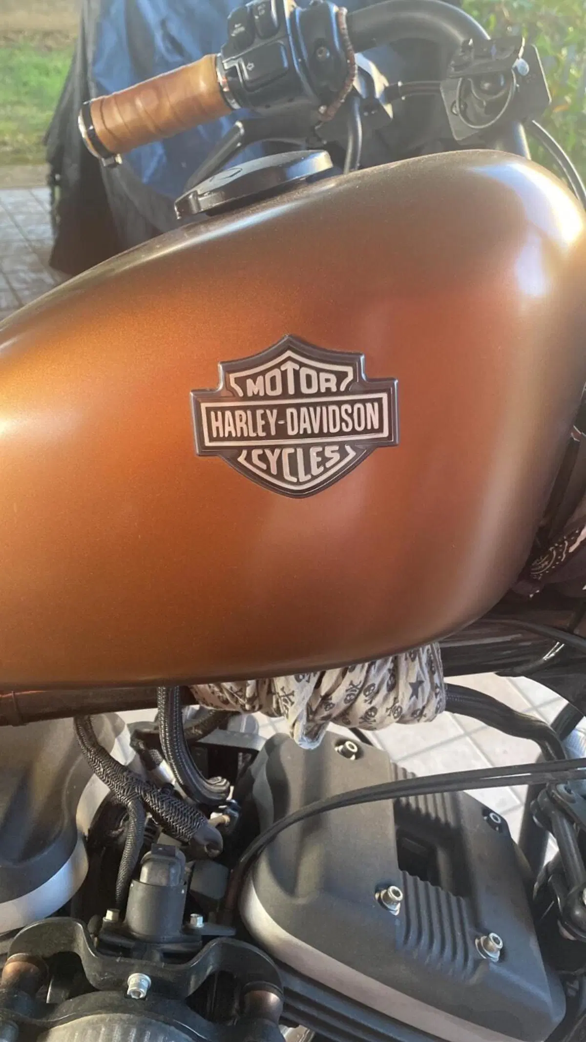 Harley-Davidson 883 Iron (2009 - 11) - XL 883N (9)