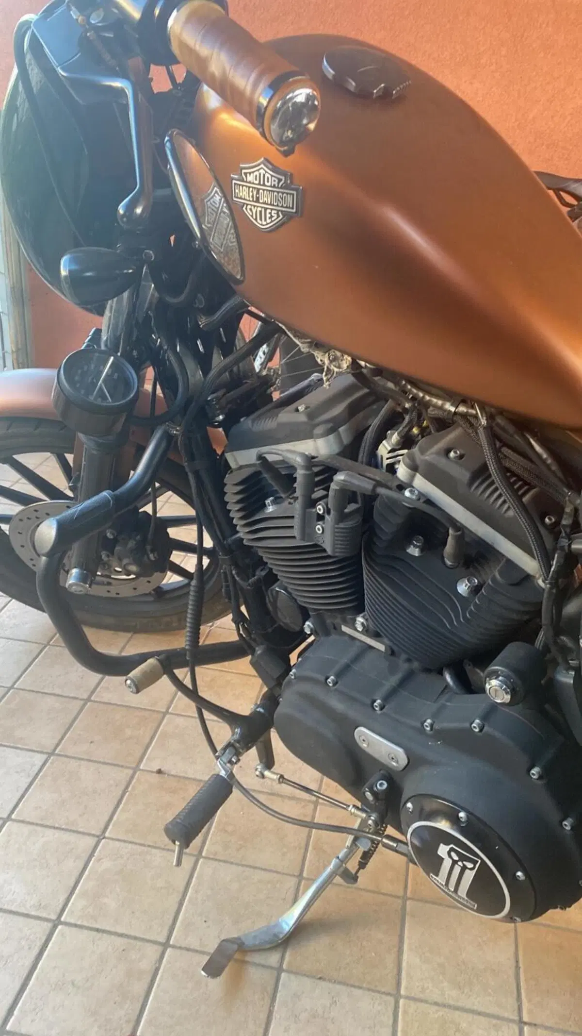 Harley-Davidson 883 Iron (2009 - 11) - XL 883N (11)