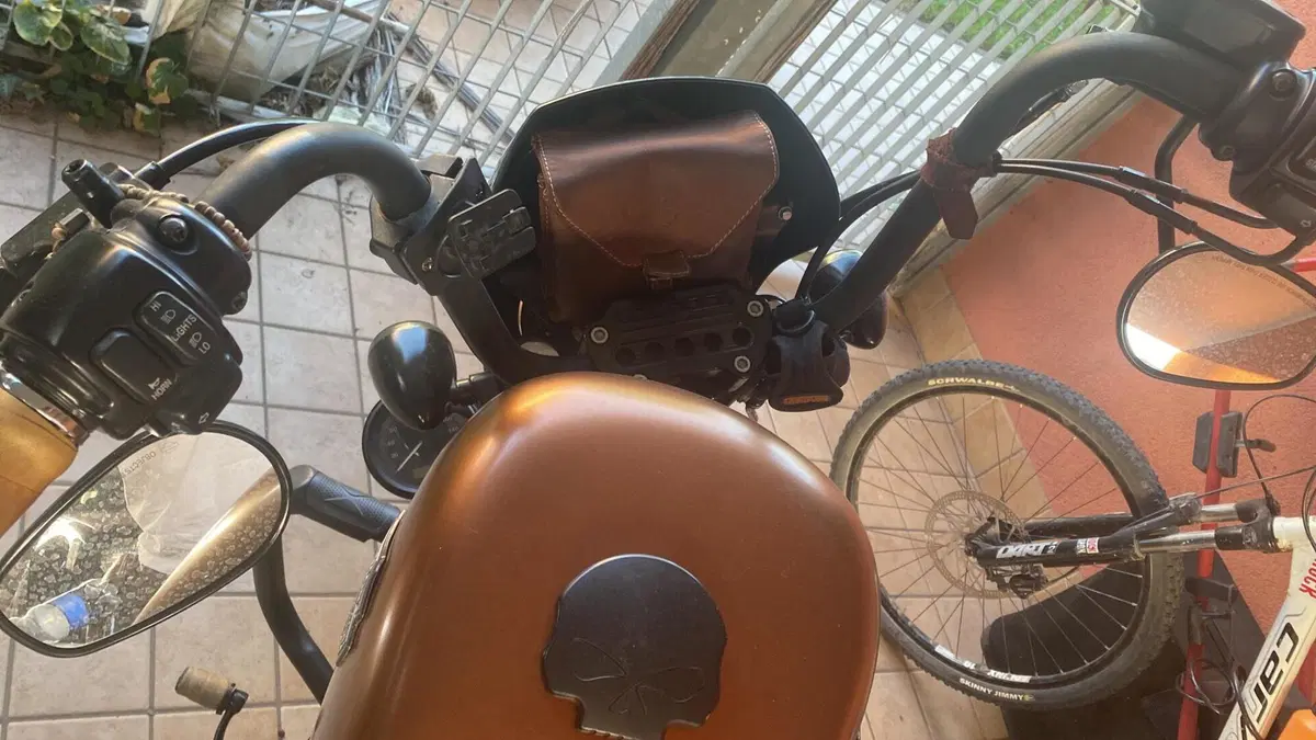Harley-Davidson 883 Iron (2009 - 11) - XL 883N (12)
