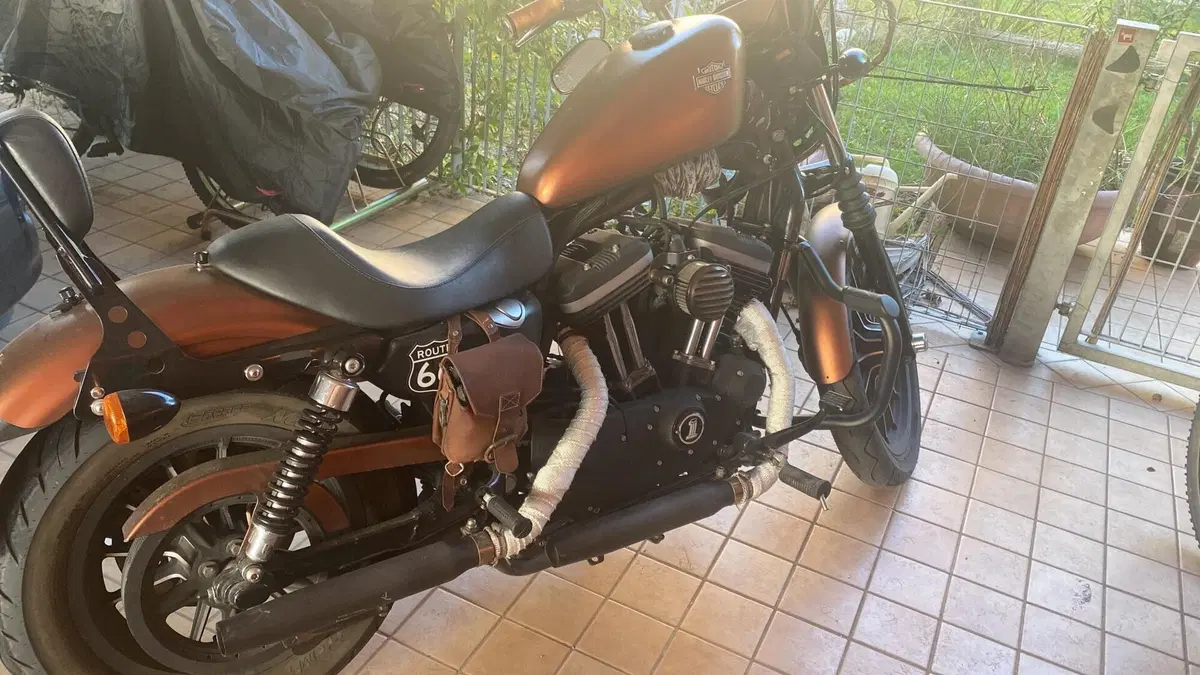 Harley-Davidson 883 Iron (2009 - 11) - XL 883N (13)