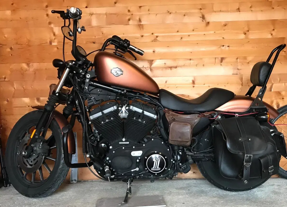 Harley-Davidson 883 Iron (2009 - 11) - XL 883N (5)