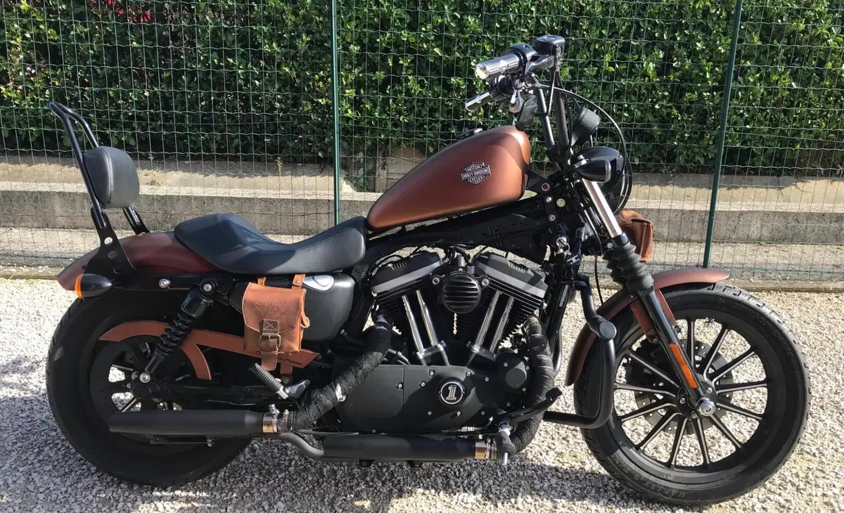 Harley-Davidson 883 Iron (2009 - 11) - XL 883N