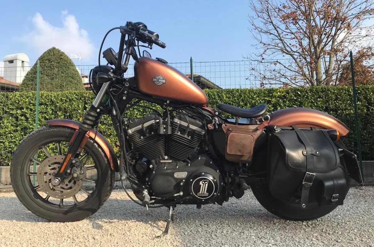 Harley-Davidson 883 Iron (2009 - 11) - XL 883N (4)