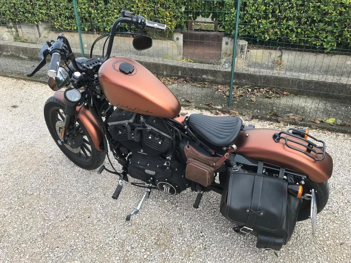 Harley-Davidson 883 Iron (2009 - 11) - XL 883N (6)