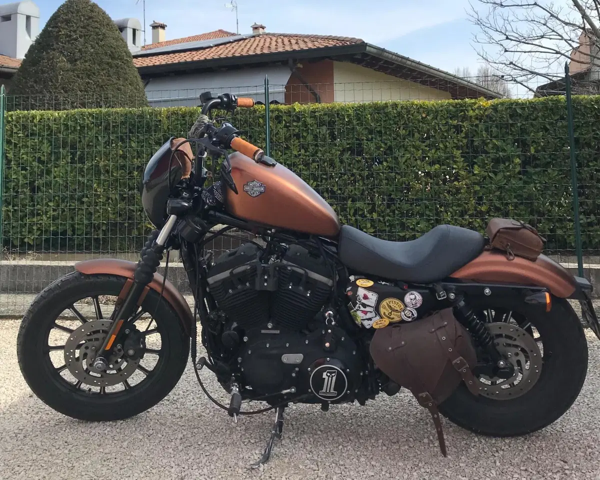 Harley-Davidson 883 Iron (2009 - 11) - XL 883N (3)
