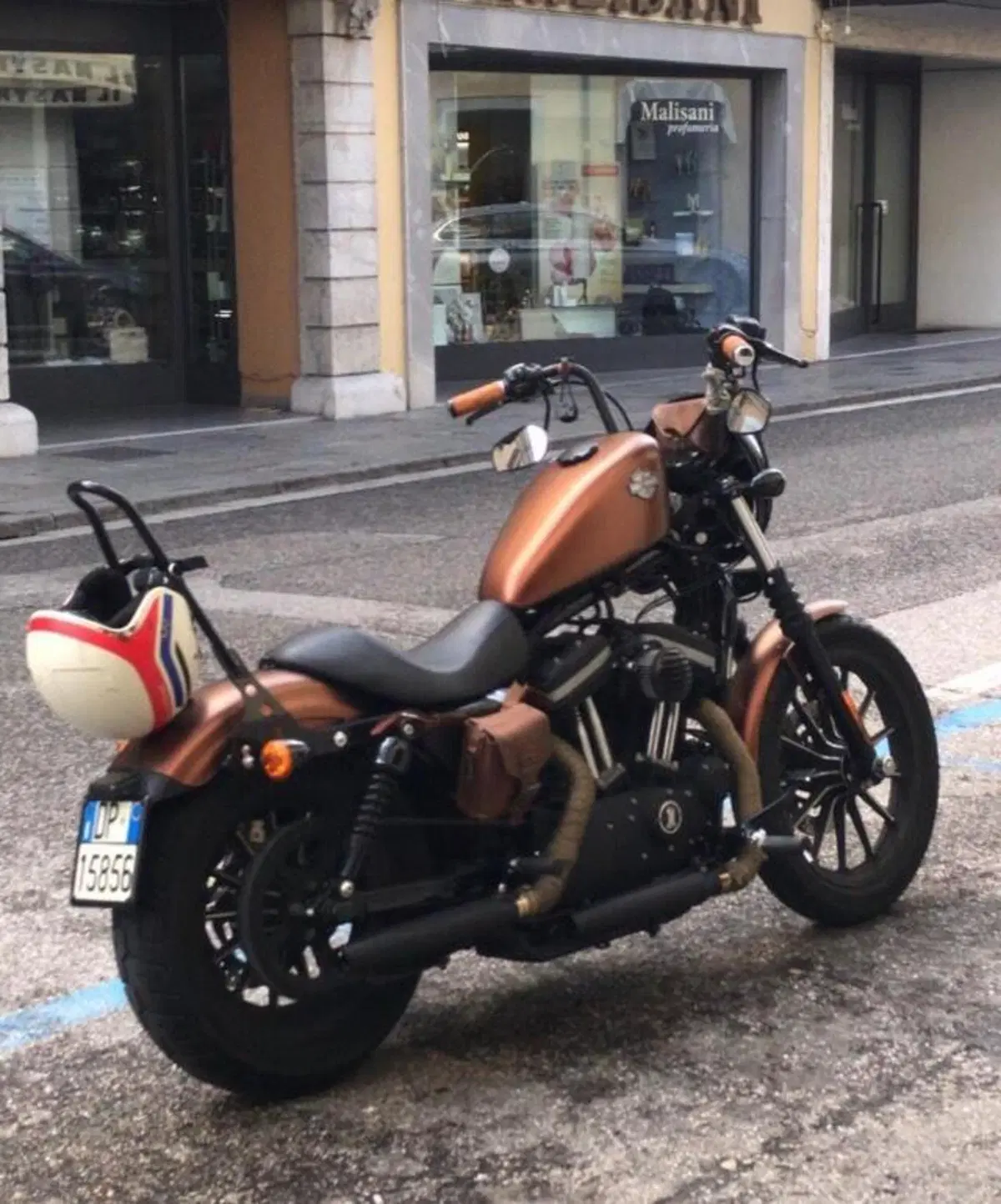 Harley-Davidson 883 Iron (2009 - 11) - XL 883N (2)