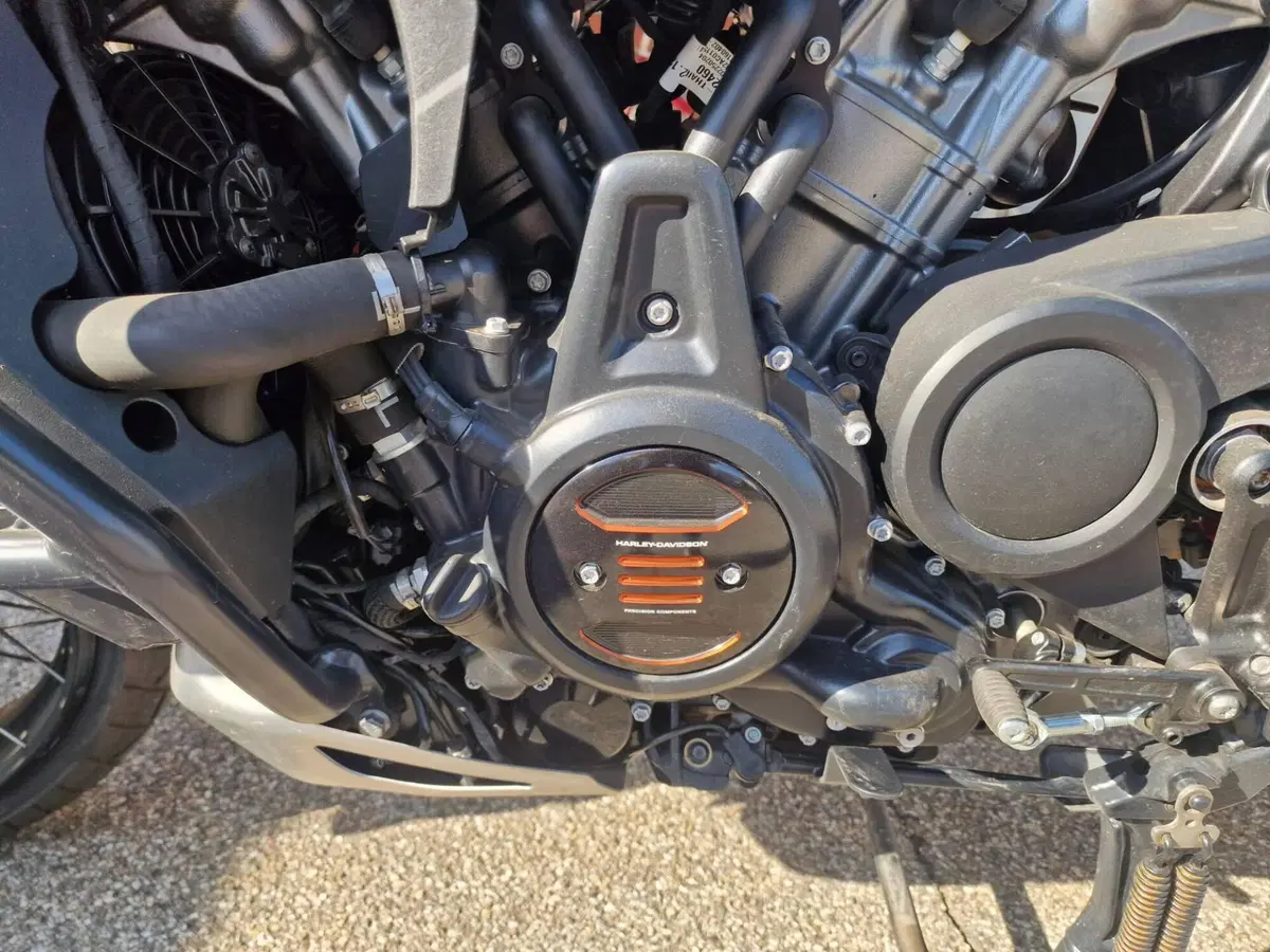 Harley-Davidson Pan America 1250 Special (2020 - 25) (7)