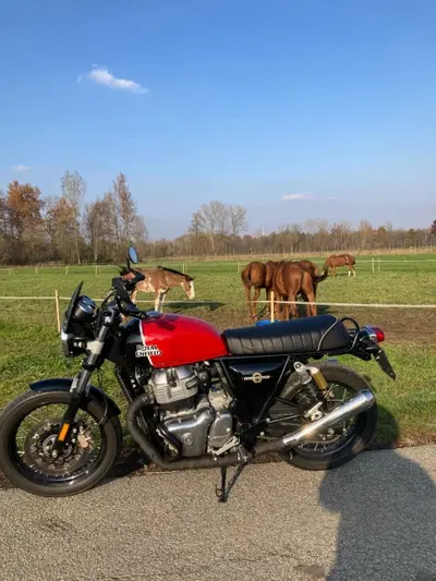 Royal Enfield Interceptor 650 (2019 - 20) usata