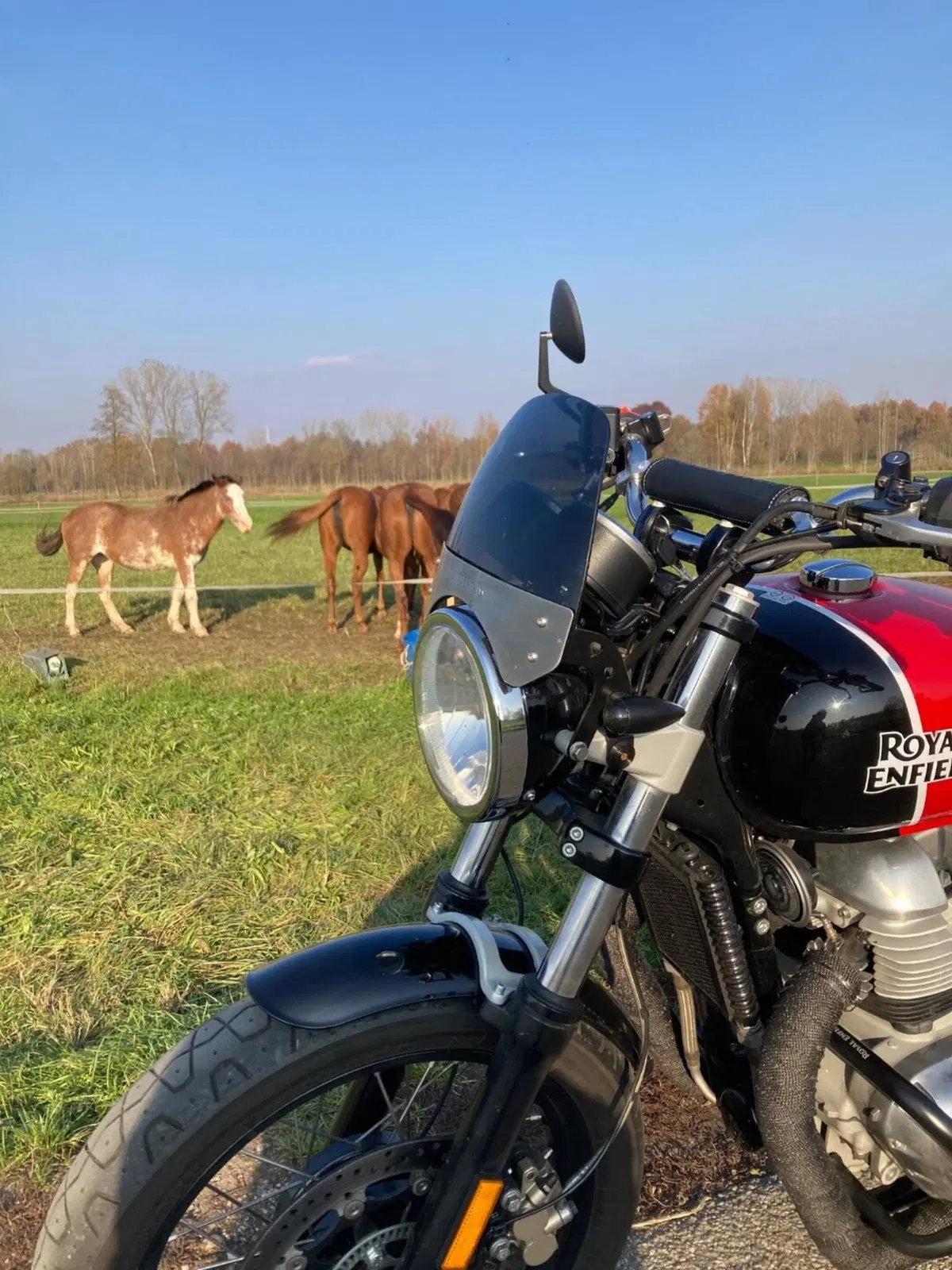 Royal Enfield Interceptor 650 (2019 - 20) (2)