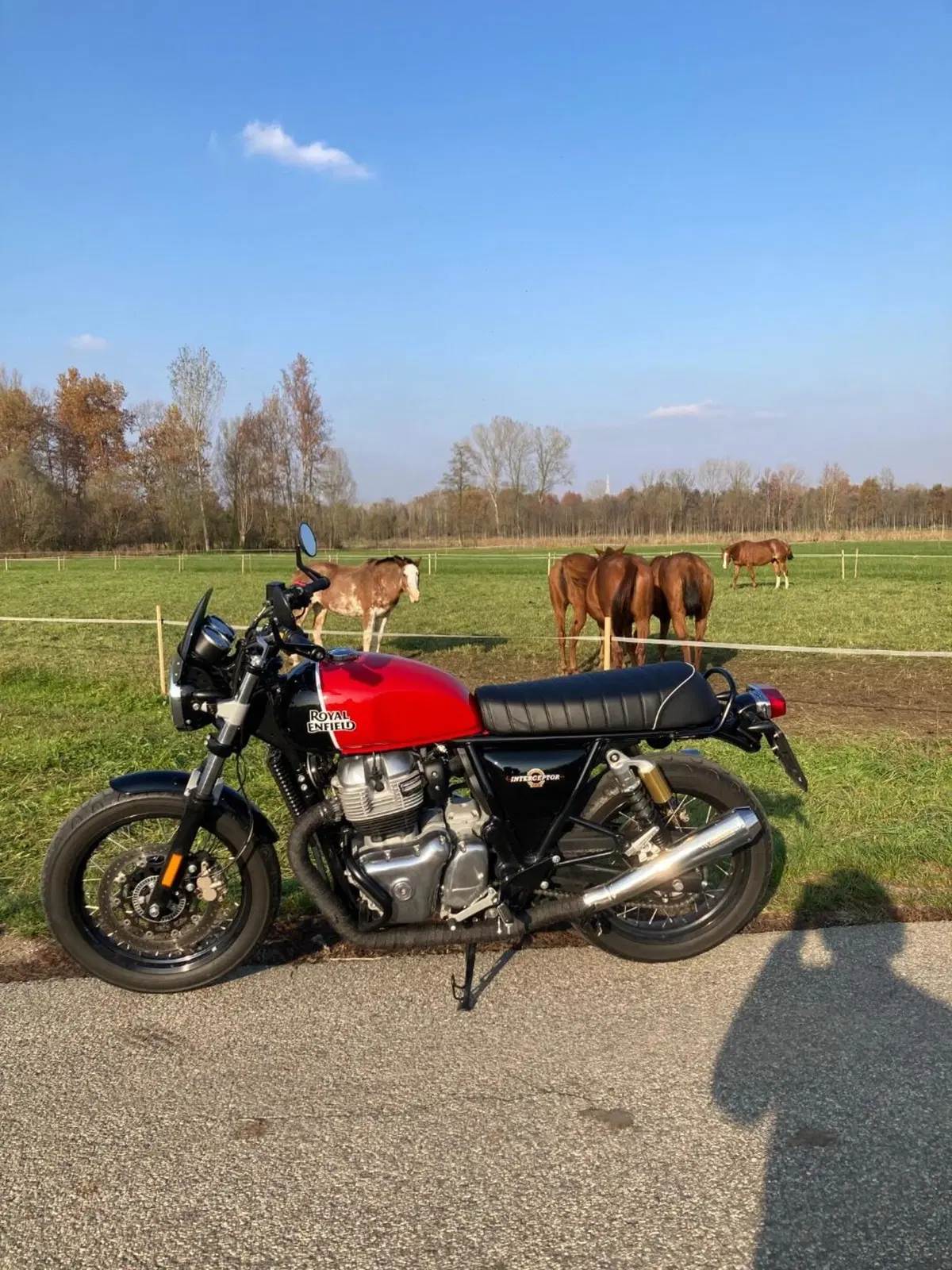 Royal Enfield Interceptor 650 (2019 - 20) (3)