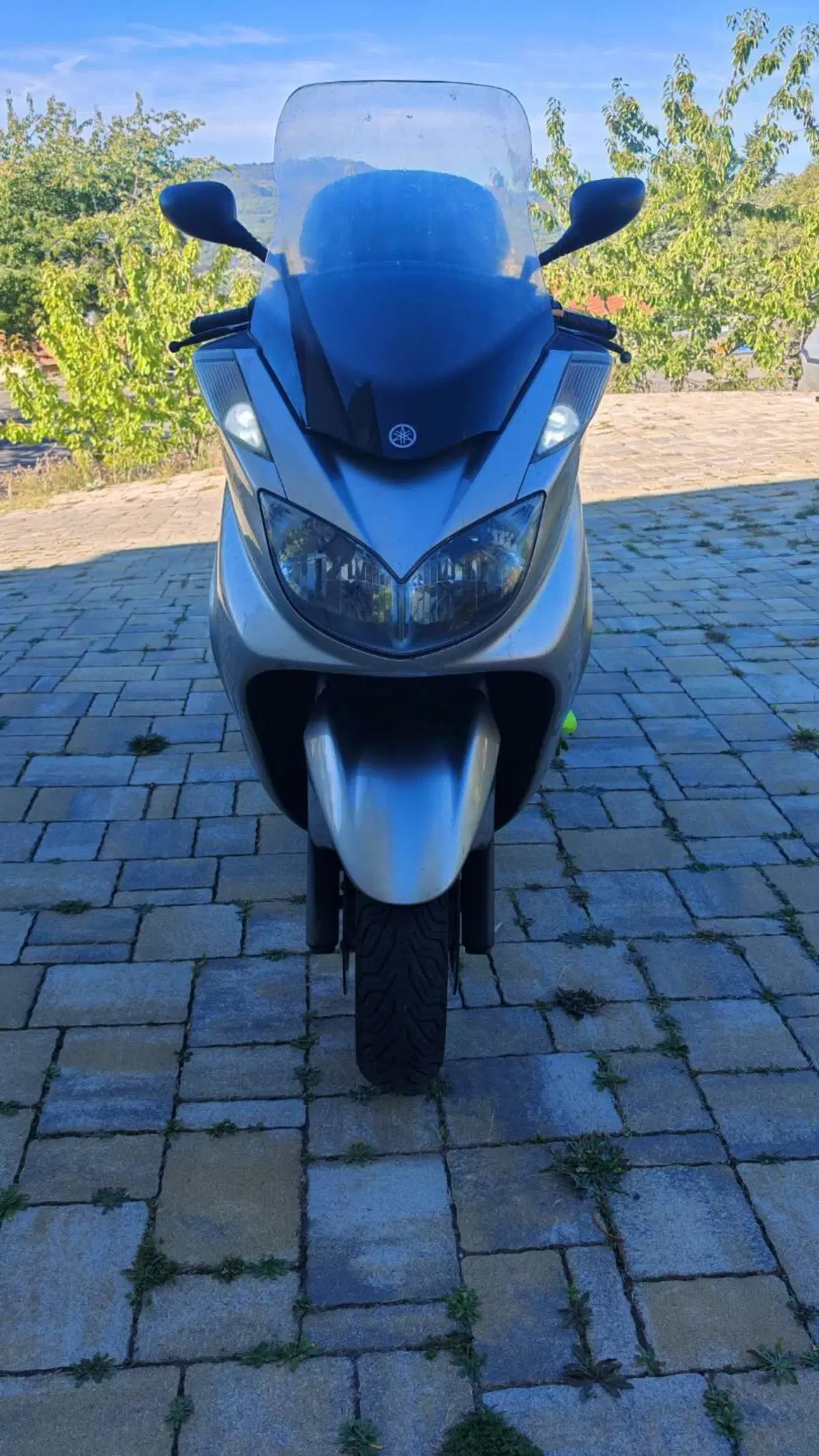 Yamaha Majesty 400 (2004 - 08) (2)