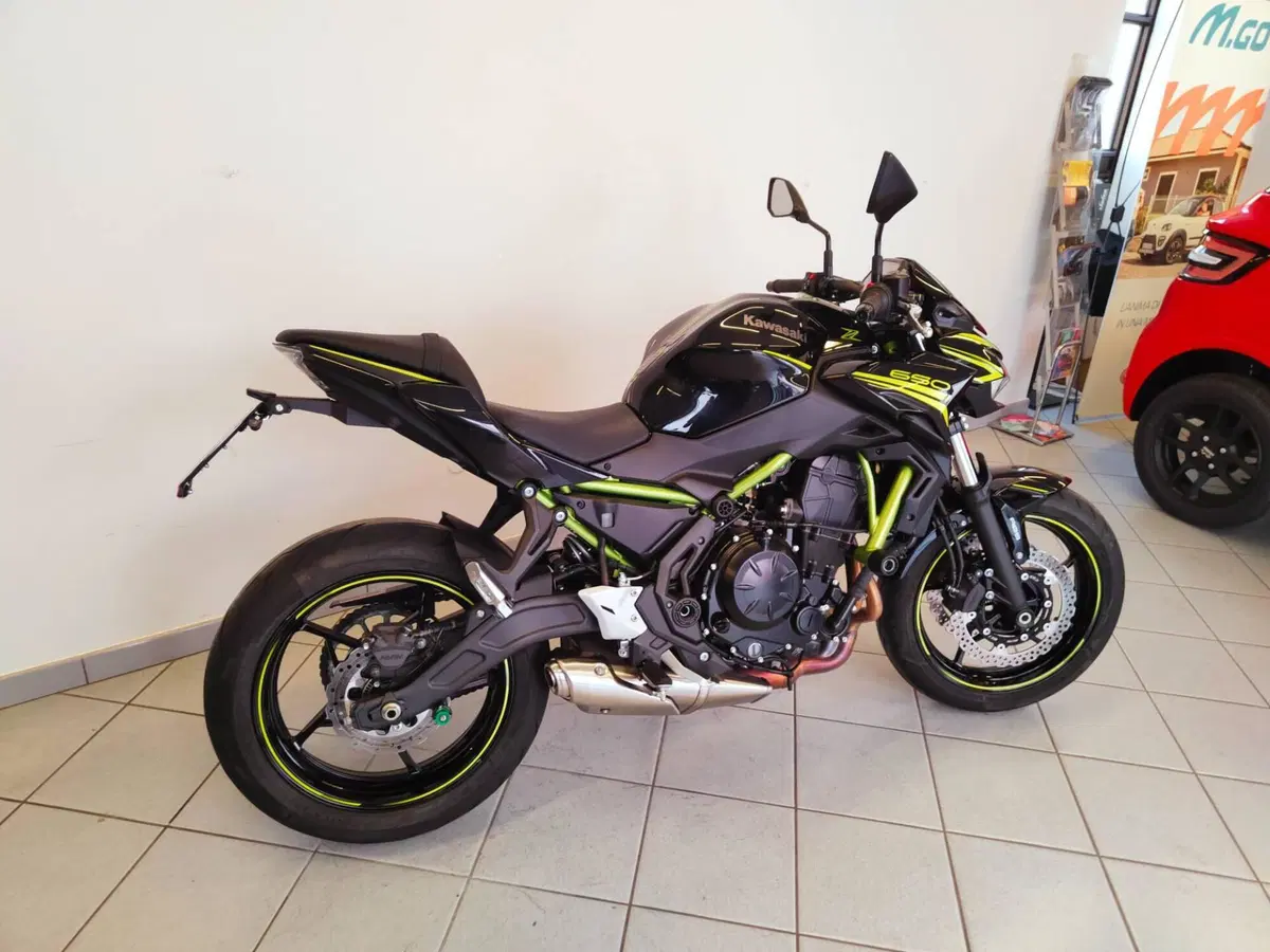 Kawasaki Z 650 (2020) (7)