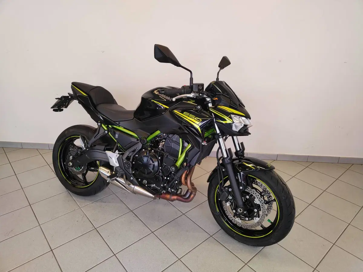 Kawasaki Z 650 (2020) (10)