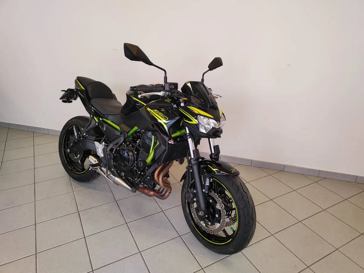 Kawasaki Z 650 (2020) (11)