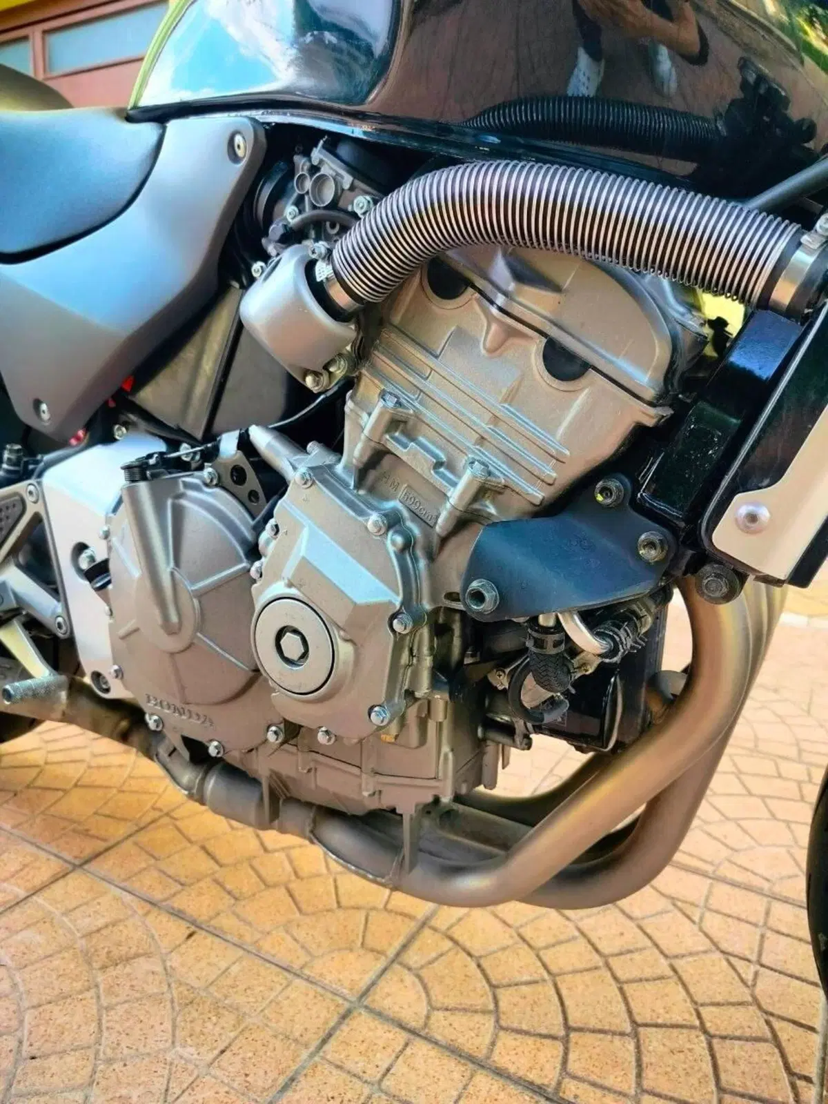 Honda Hornet 600 (2000 - 02) (3)