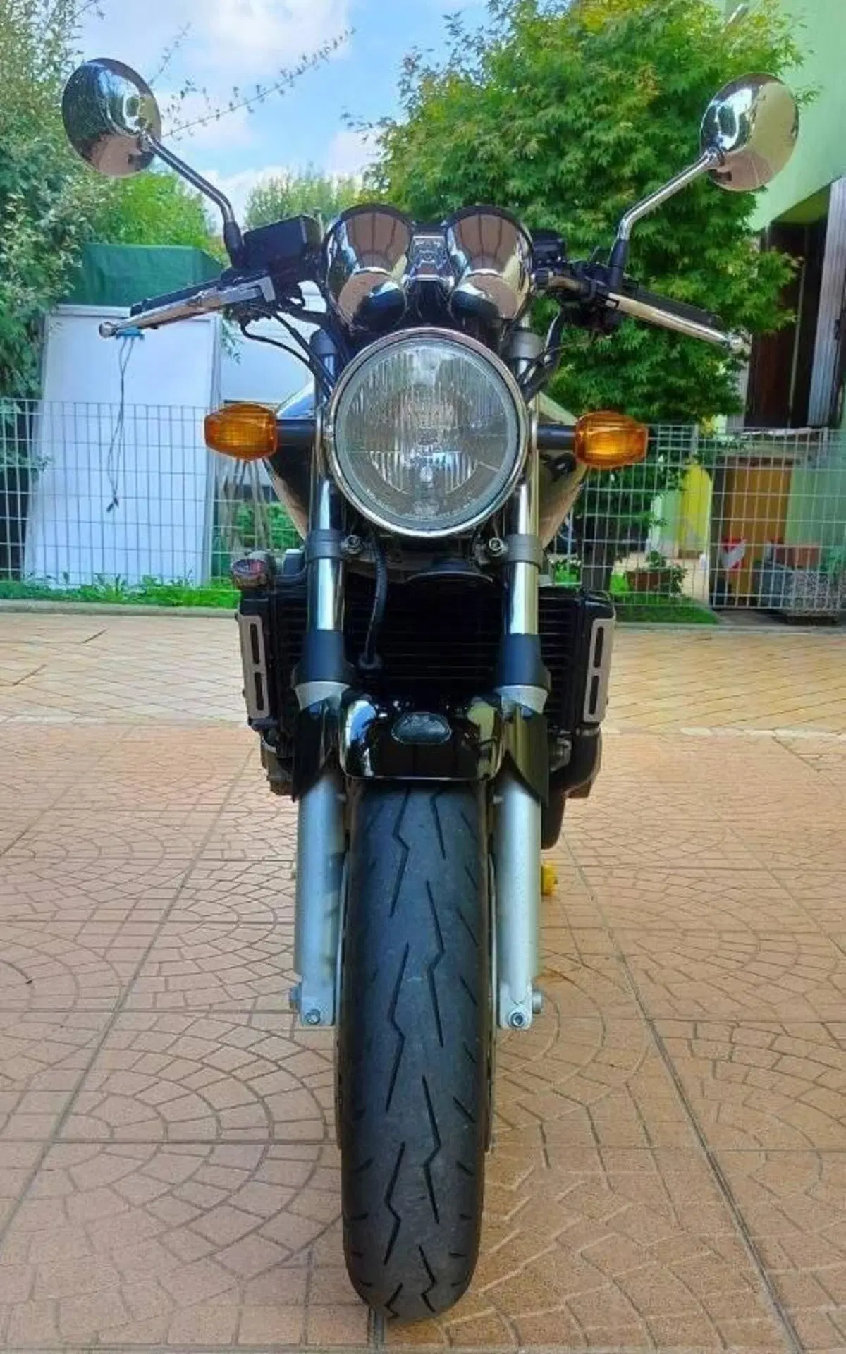 Honda Hornet 600 (2000 - 02) (5)