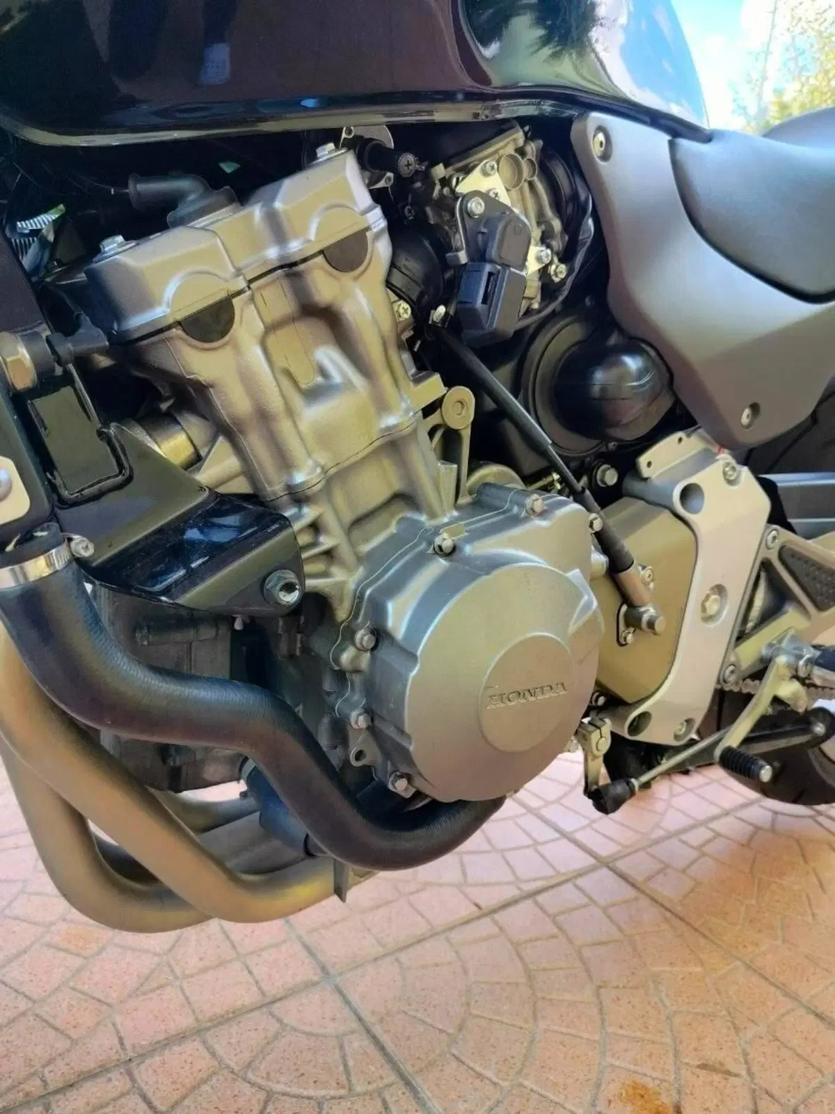 Honda Hornet 600 (2000 - 02) (13)