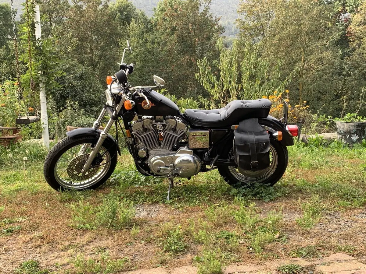 Harley-Davidson XLH 883 (2)
