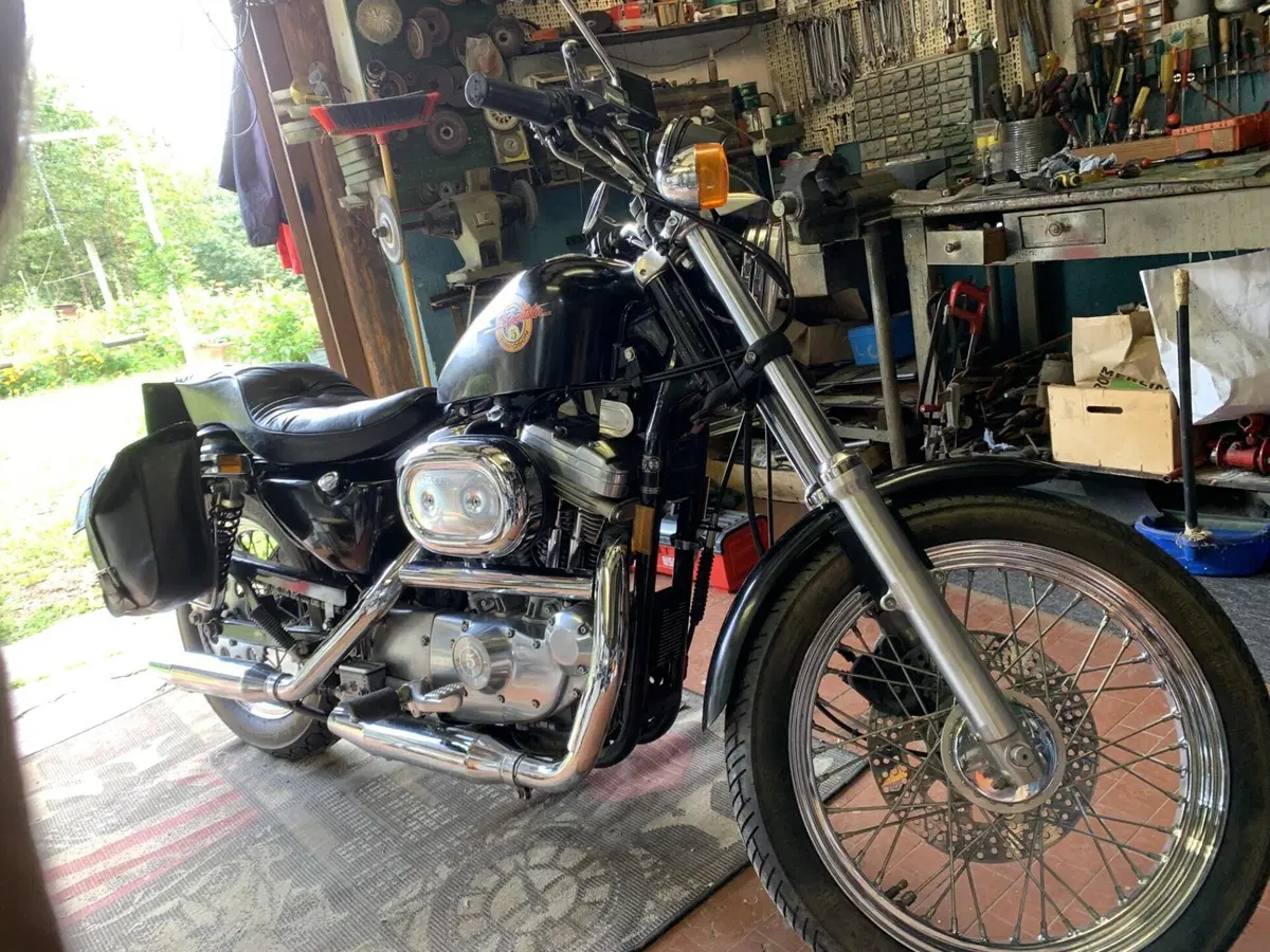 Harley-Davidson XLH 883 (3)