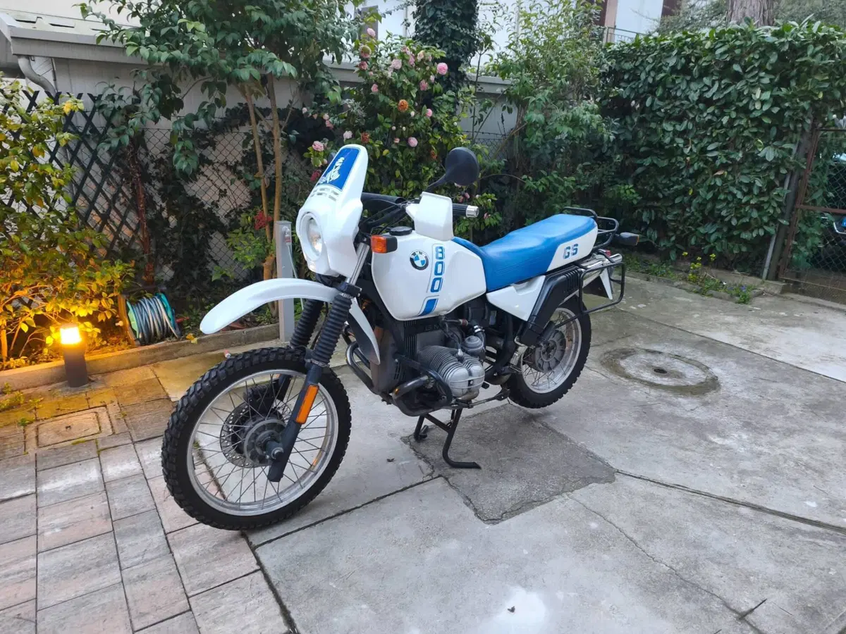 Bmw R 800 GS (11)
