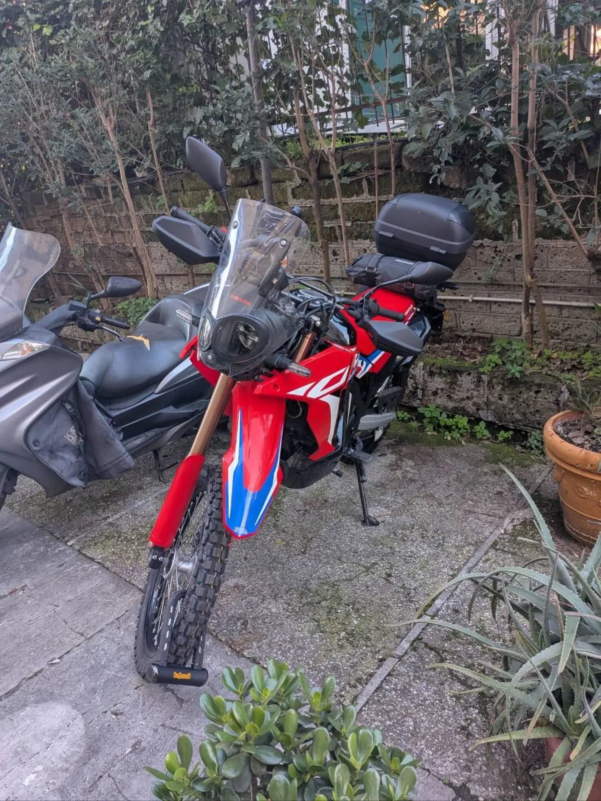Honda CRF 300 Rally (2021 - 24) (2)