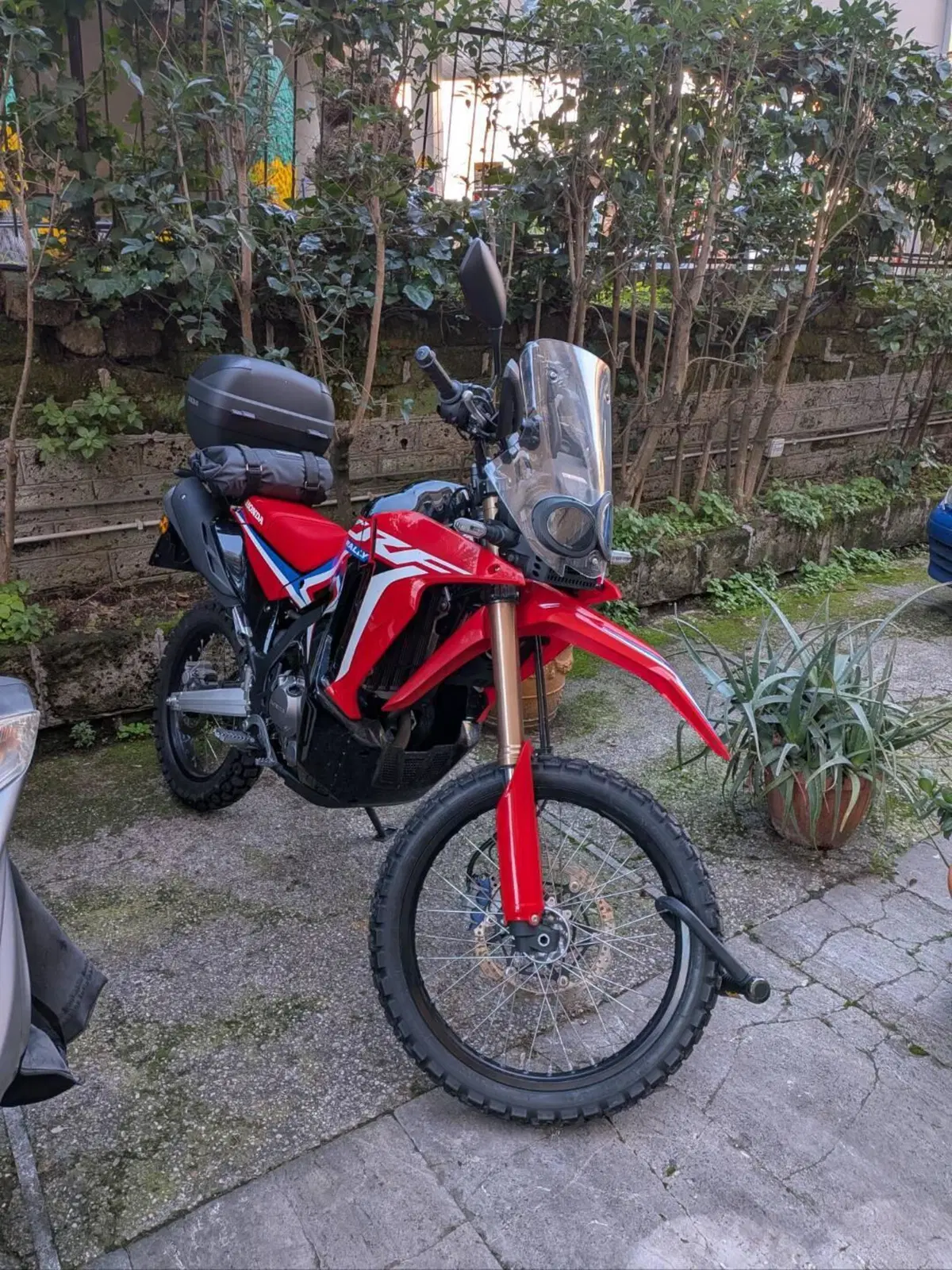 Honda CRF 300 Rally (2021 - 24)