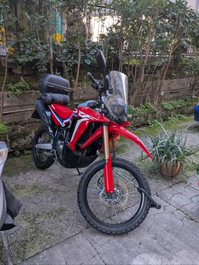 Honda CRF 300 Rally (2021 - 24) usata