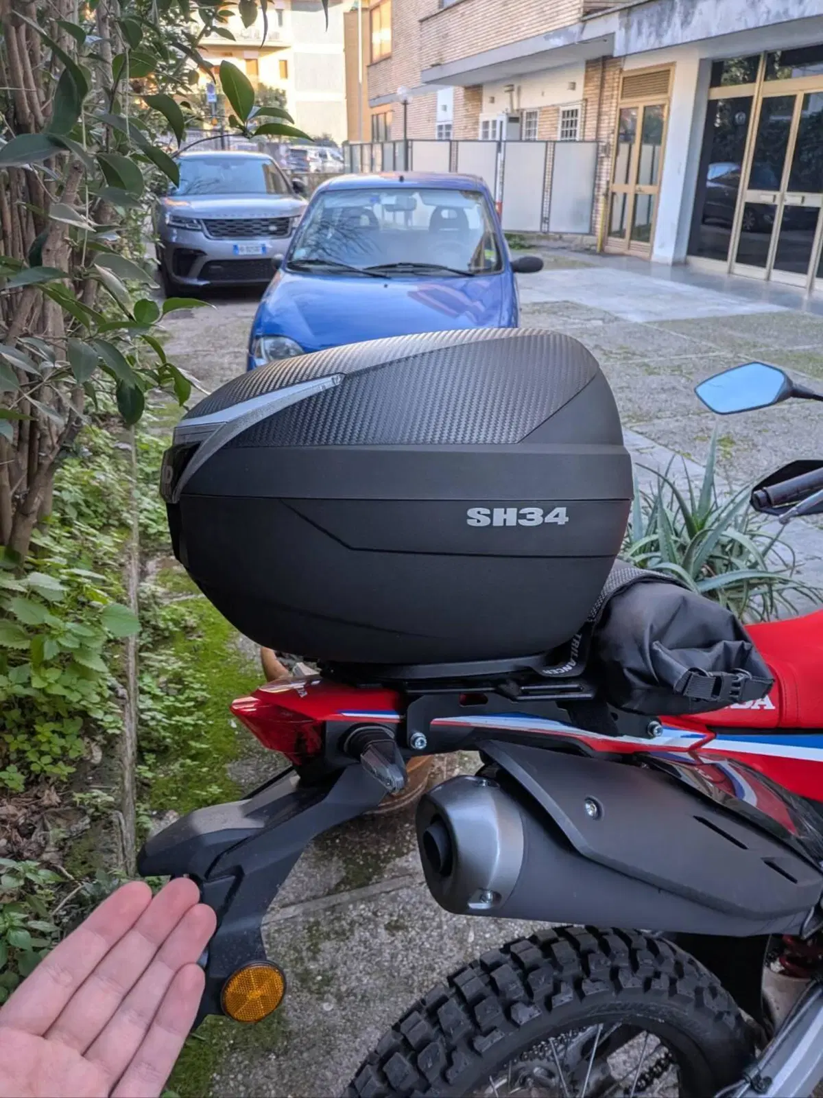 Honda CRF 300 Rally (2021 - 24) (4)