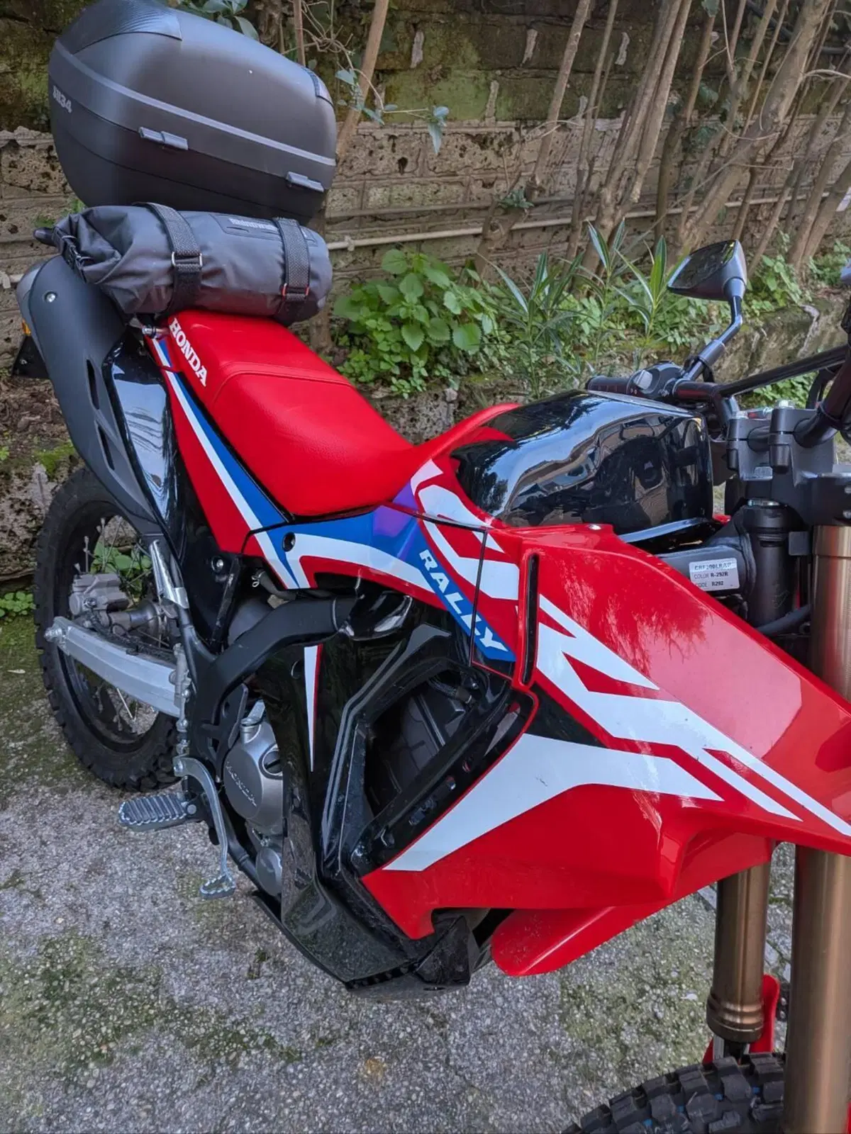 Honda CRF 300 Rally (2021 - 24) (6)