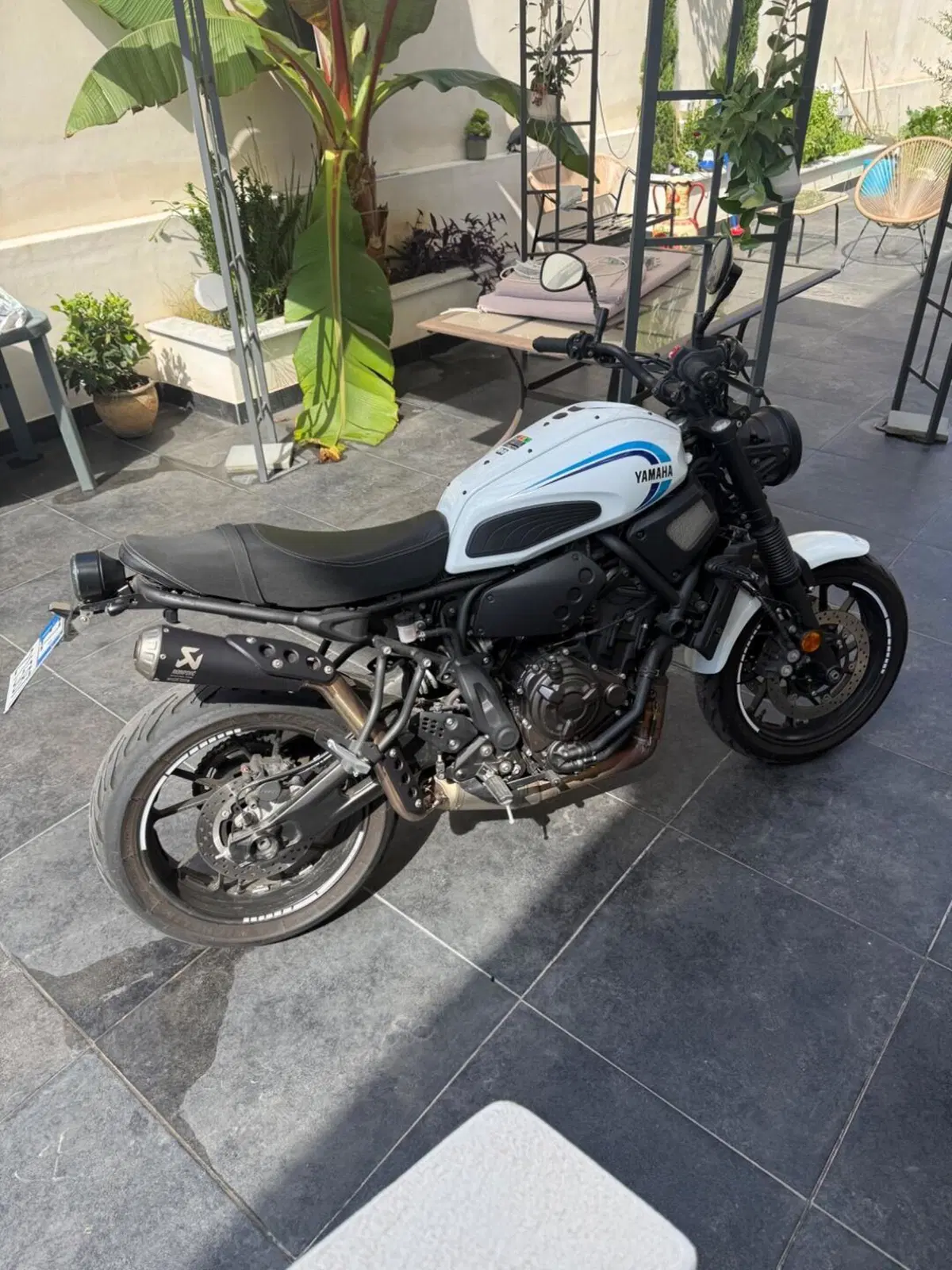 Yamaha XSR 700 (2022 - 26)