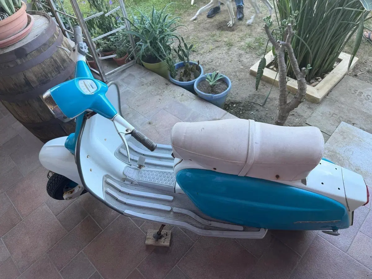 Innocenti Lambretta 125 L (6)