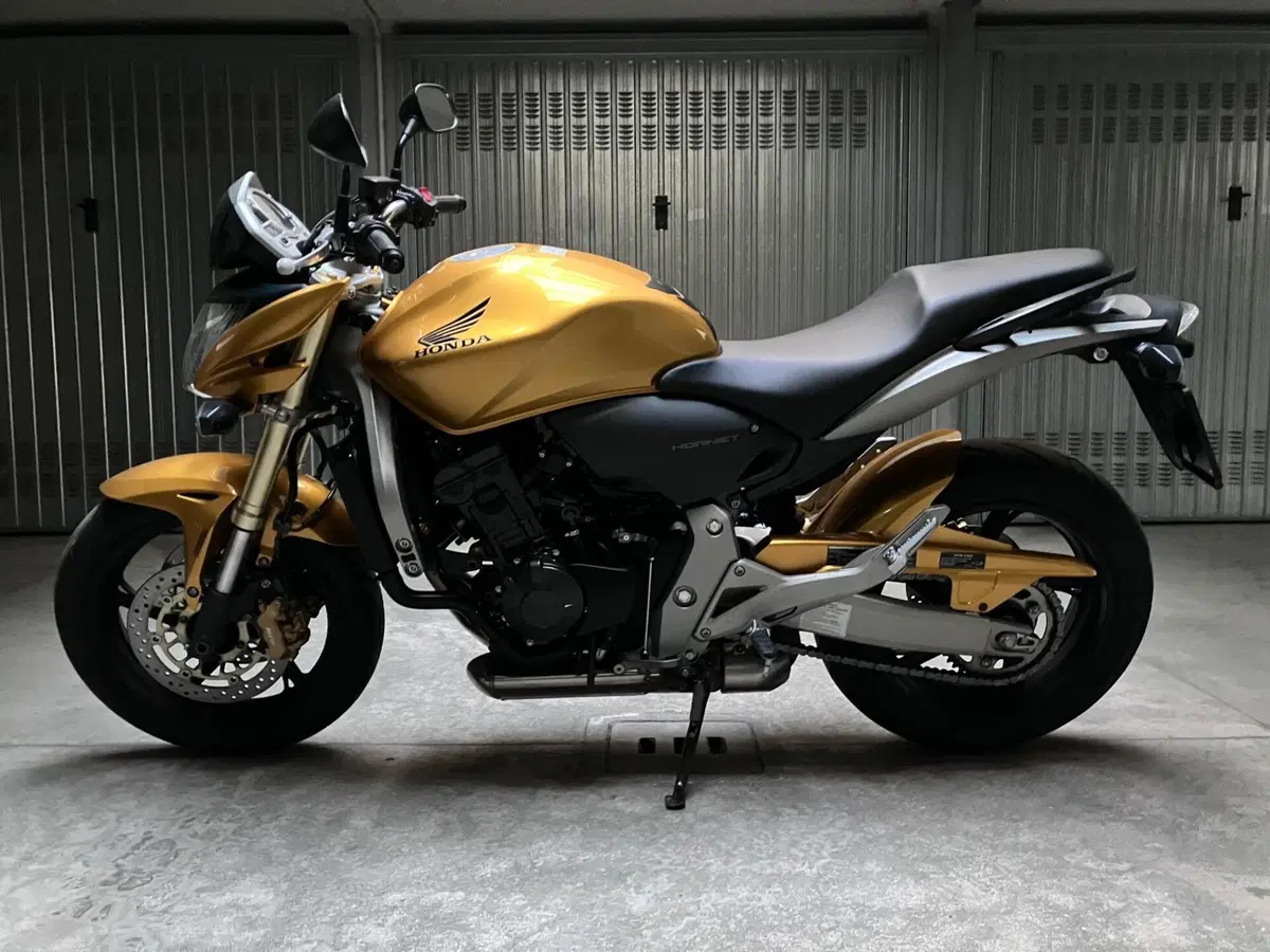 Honda Hornet 600 (2007 - 10) (2)