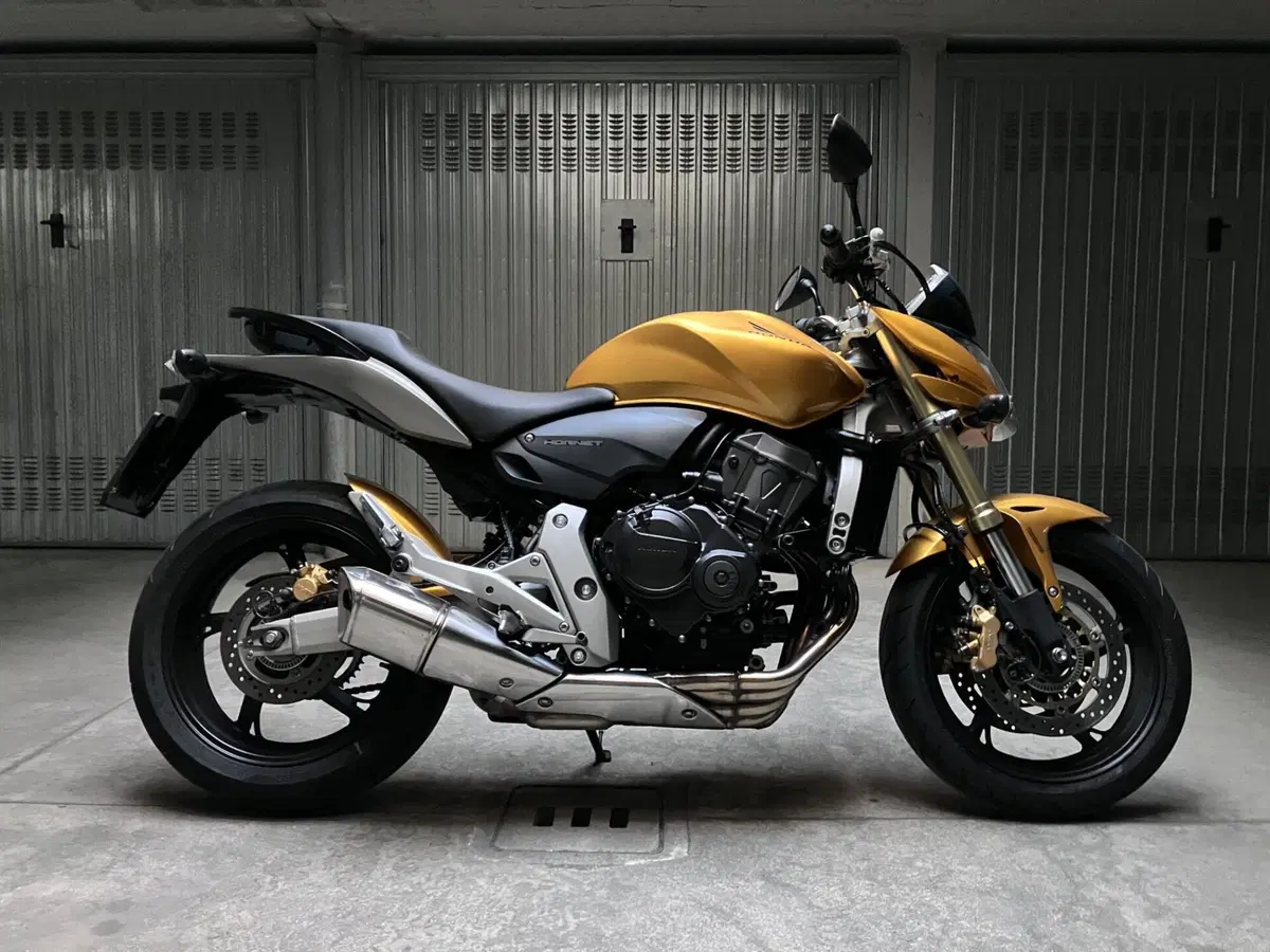 Honda Hornet 600 (2007 - 10) (3)