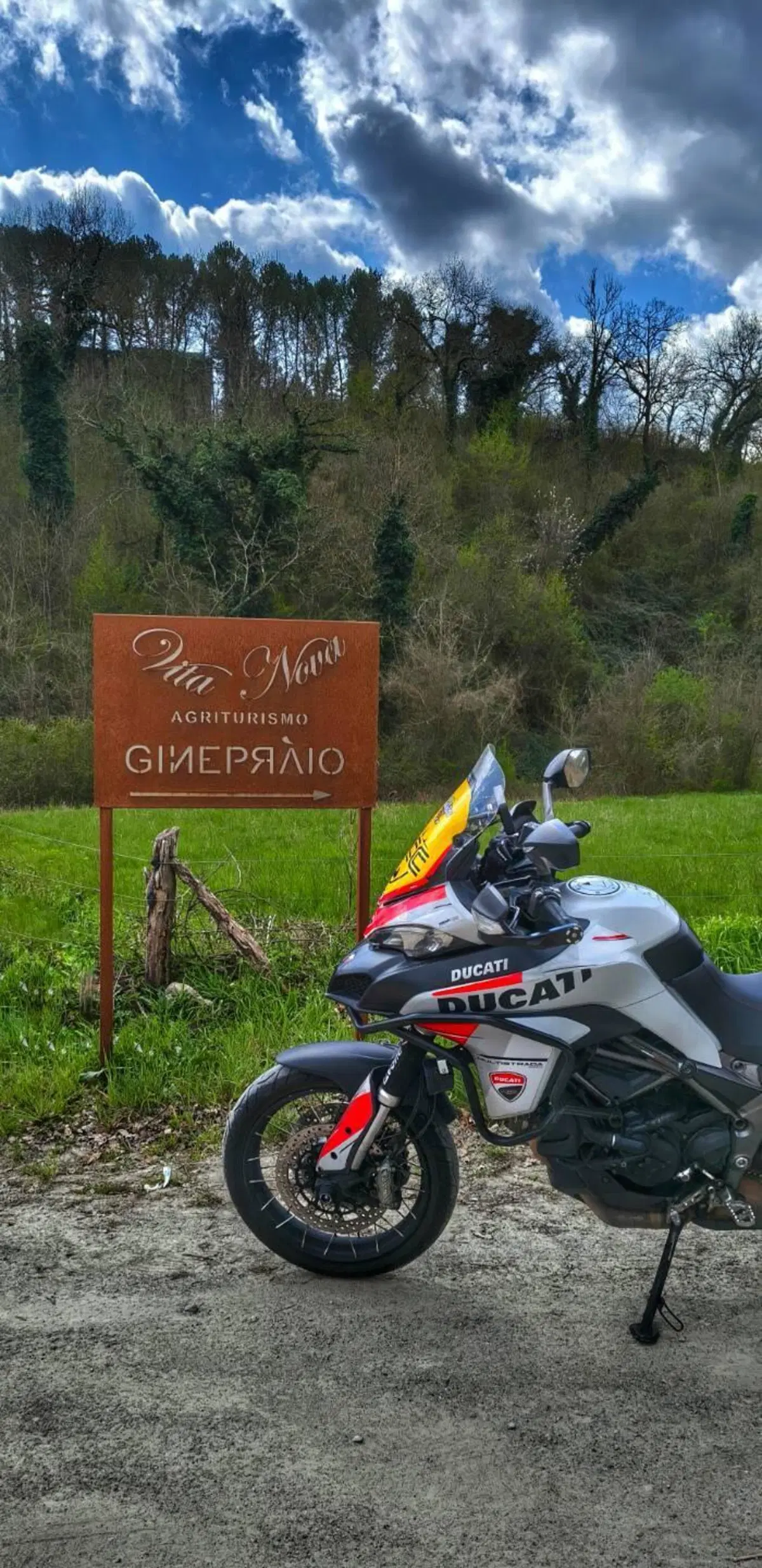 Ducati Multistrada 950 (2018) (4)